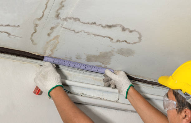 Reliable Water Damage contractor in Wakeman, OH by Water Damage Irwin